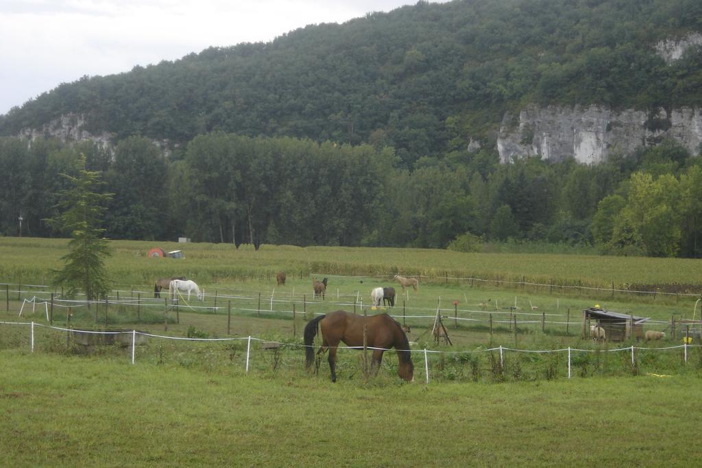 Paysannerie Des Versanes - Chambres Et Gite Tour-de-Faure Luaran gambar